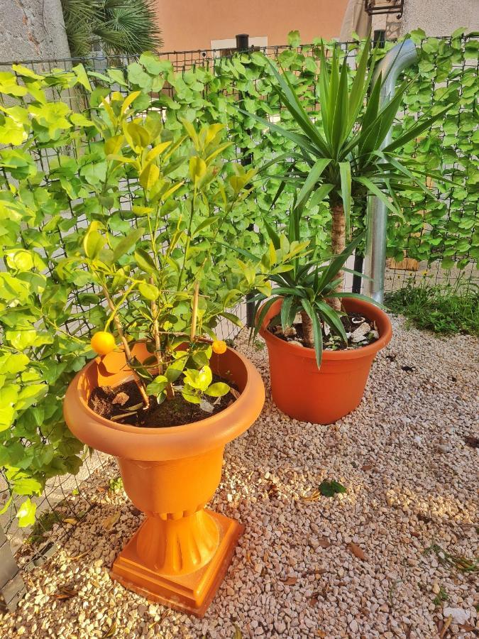 Place Veli Dvor - With Private Garden In Old Town Holiday home