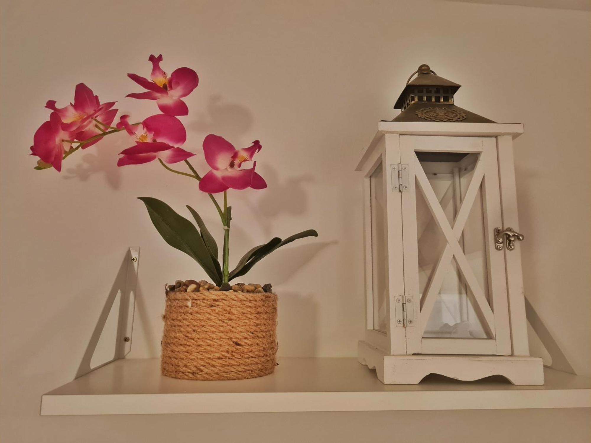 Place Veli Dvor - With Private Garden In Old Town *