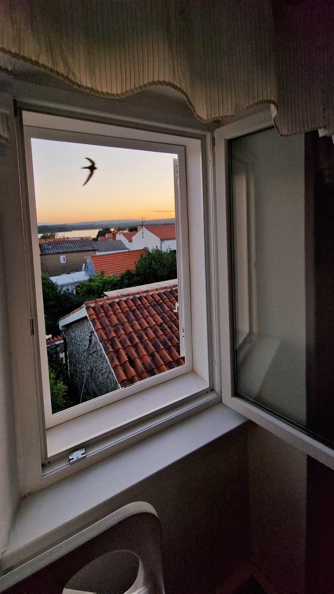 Place Veli Dvor - With Private Garden In Old Town Punat